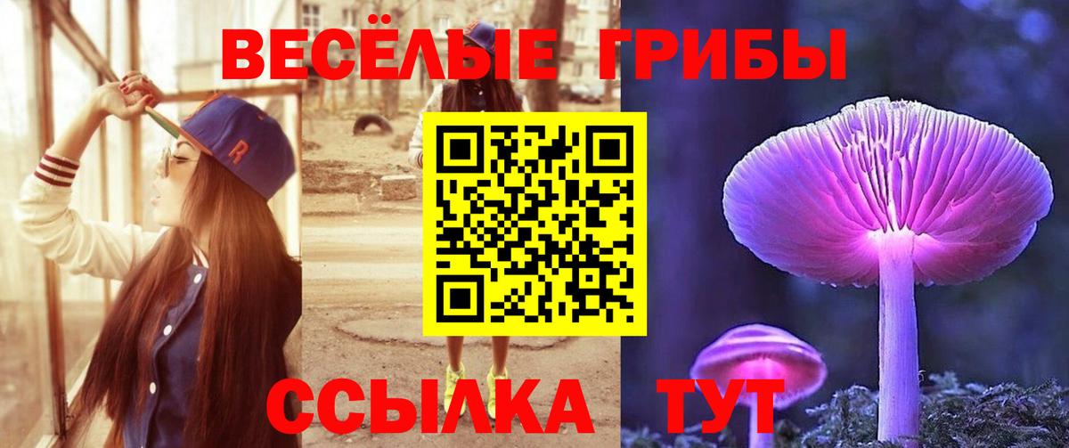 Семилуки  Галлюциногенные грибы Cubensis  Вход с VPN  Галлюциногенные грибы прущие грибы 